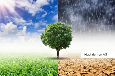 Hamburg wählt für Klimaschutz: Klimaneutralität bis 2040 beschlossen!