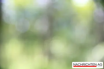 Altona 93 in der Krise: Kann BSV den Sieg mitnehmen?