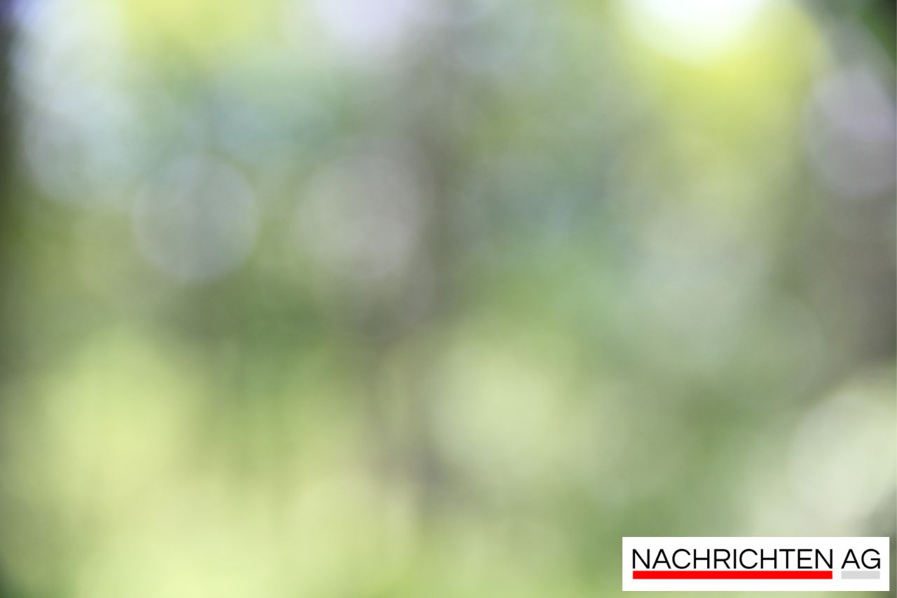 Sports-Dome Hamburg: Neues Sportzentrum in der HafenCity geplant